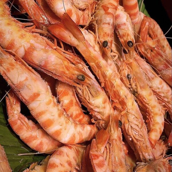 Langostino